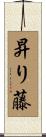 昇り藤 Scroll