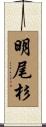 明尾杉 Scroll
