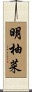 明柚菜 Scroll