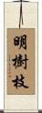 明樹枝 Scroll