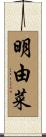 明由菜 Scroll