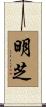 明芝 Scroll
