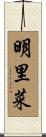 明里菜 Scroll