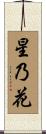 星乃花 Scroll