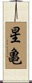星亀 Scroll