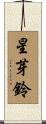 星芽鈴 Scroll