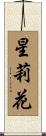 星莉花 Scroll