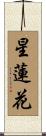 Star Lotus Scroll
