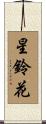 星鈴花 Scroll