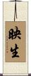 映生 Scroll