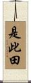 是此田 Scroll