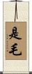 是毛 Scroll
