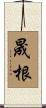 晟根 Scroll