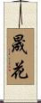 晟花 Scroll