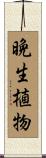 晩生植物 Scroll