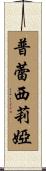 Prescillia Scroll