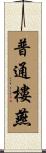 普通樓燕 Scroll