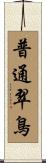 普通翠鳥 Scroll