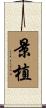 景植 Scroll