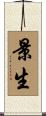 景生 Scroll