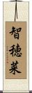 智穂菜 Scroll