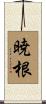 暁根 Scroll