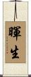暉生 Scroll
