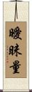 曖昧量 Scroll