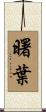 曙葉 Scroll