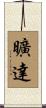 曠達 Scroll
