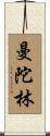 曼陀林 Scroll