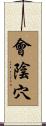 會陰穴 Scroll