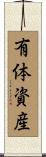 有体資産 Scroll