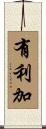 有利加 Scroll