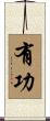 有功 Scroll