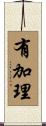 有加理 Scroll