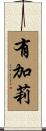 有加莉 Scroll