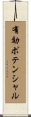 有効ポテンシャル Scroll