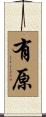 有原 Scroll