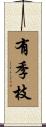 有季枝 Scroll