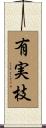 有実枝 Scroll
