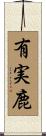 有実鹿 Scroll