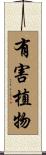 有害植物 Scroll