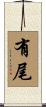 有尾 Scroll