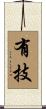 有技 Scroll