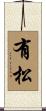 有松 Scroll