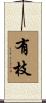 有枝 Scroll