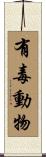 有毒動物 Scroll