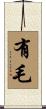 有毛 Scroll