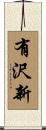 有沢新 Scroll